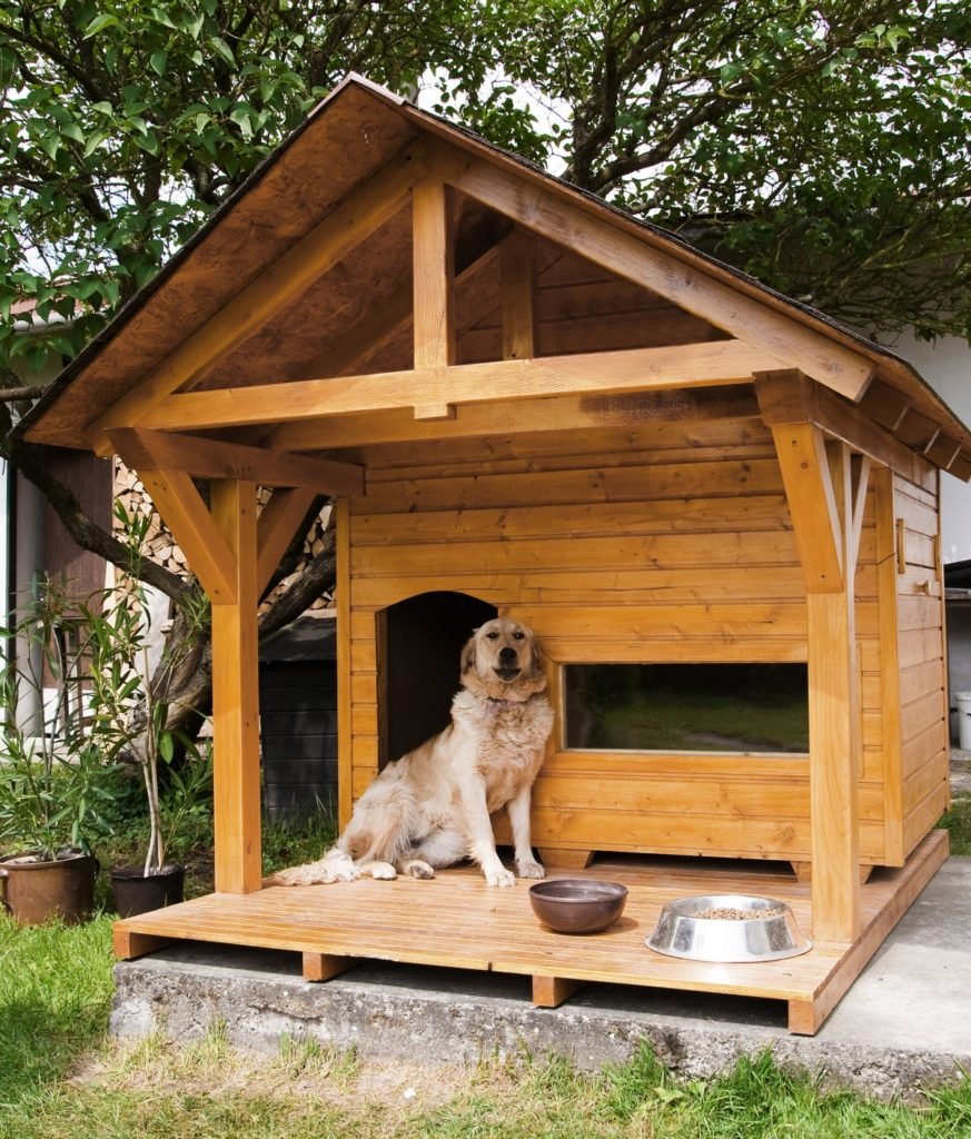 Деревянный дом для собаки