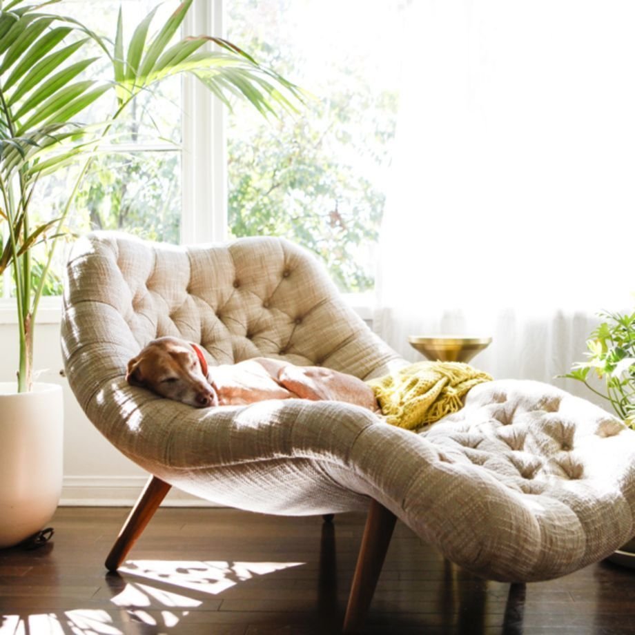 самый удобный диван для отдыха