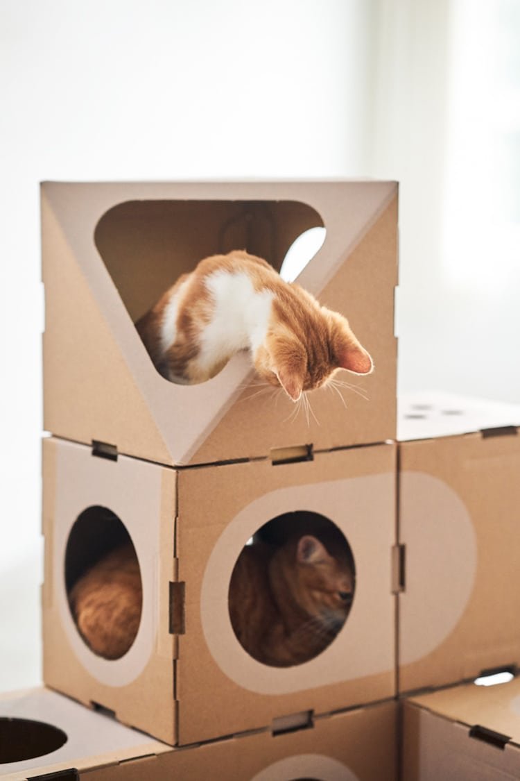 Картонные домики лабиринты для кошек