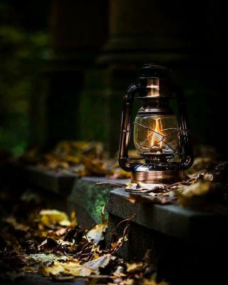 Керосиновая лампа в лесу