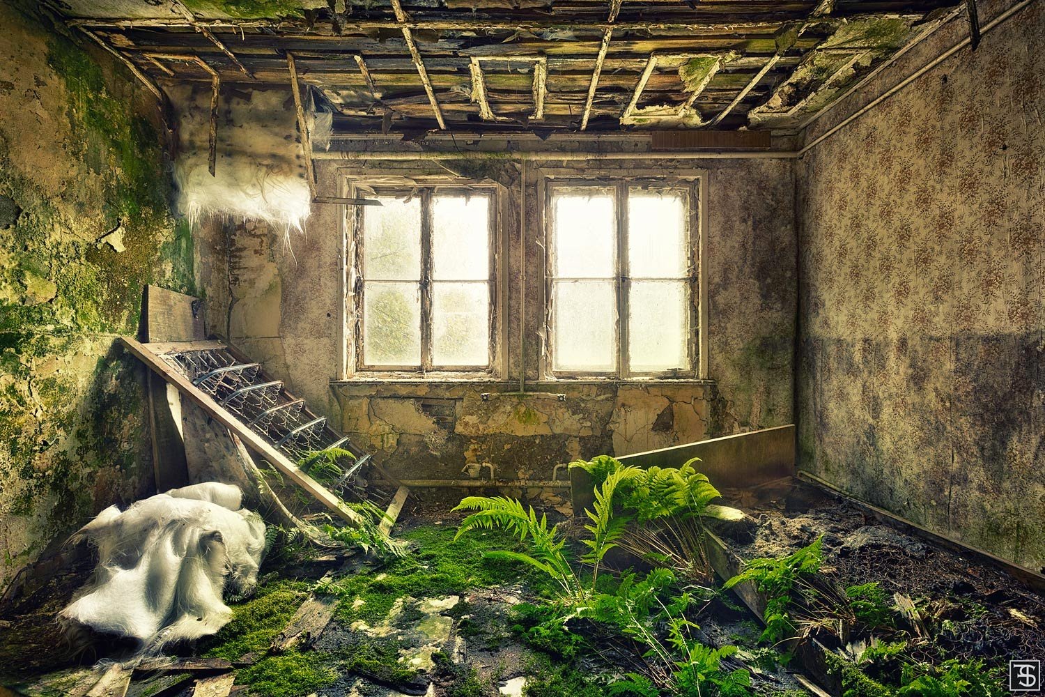 Заброшенный дом в лесу внутри