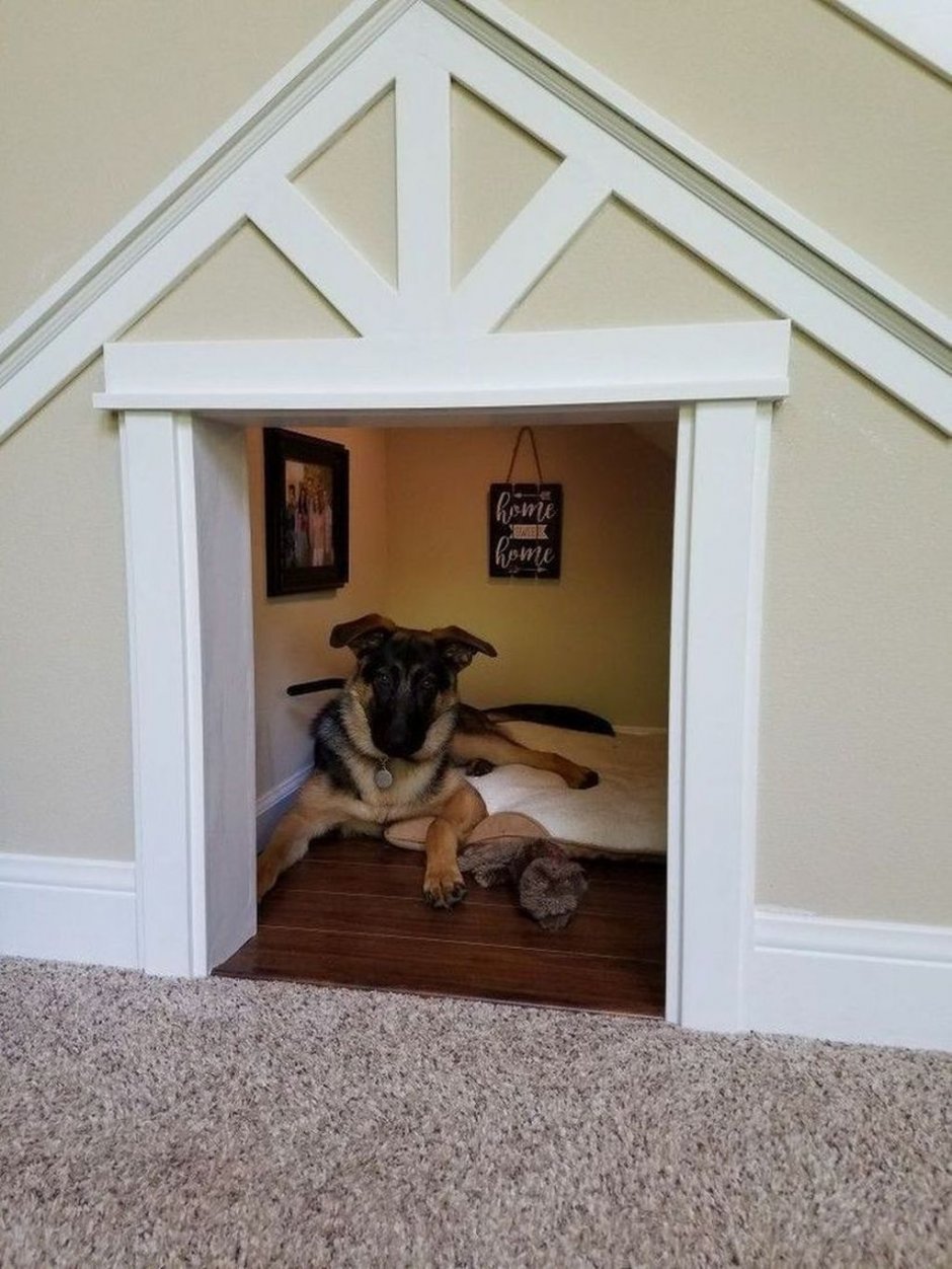 Дом для собаки в квартире