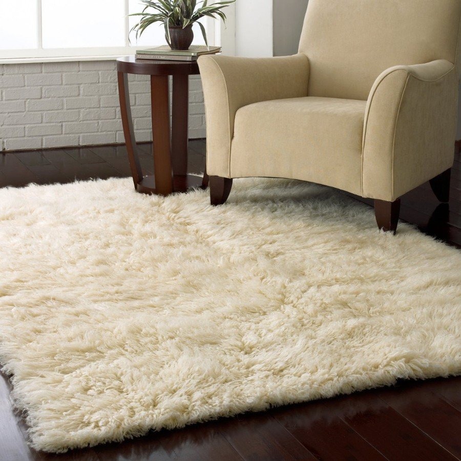 Shadow and Rug