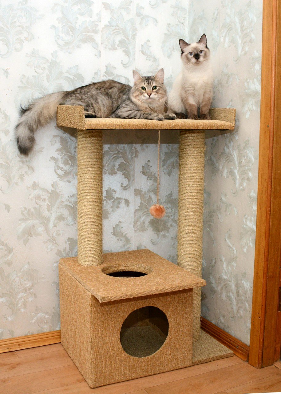 Кошкин дом когтеточка