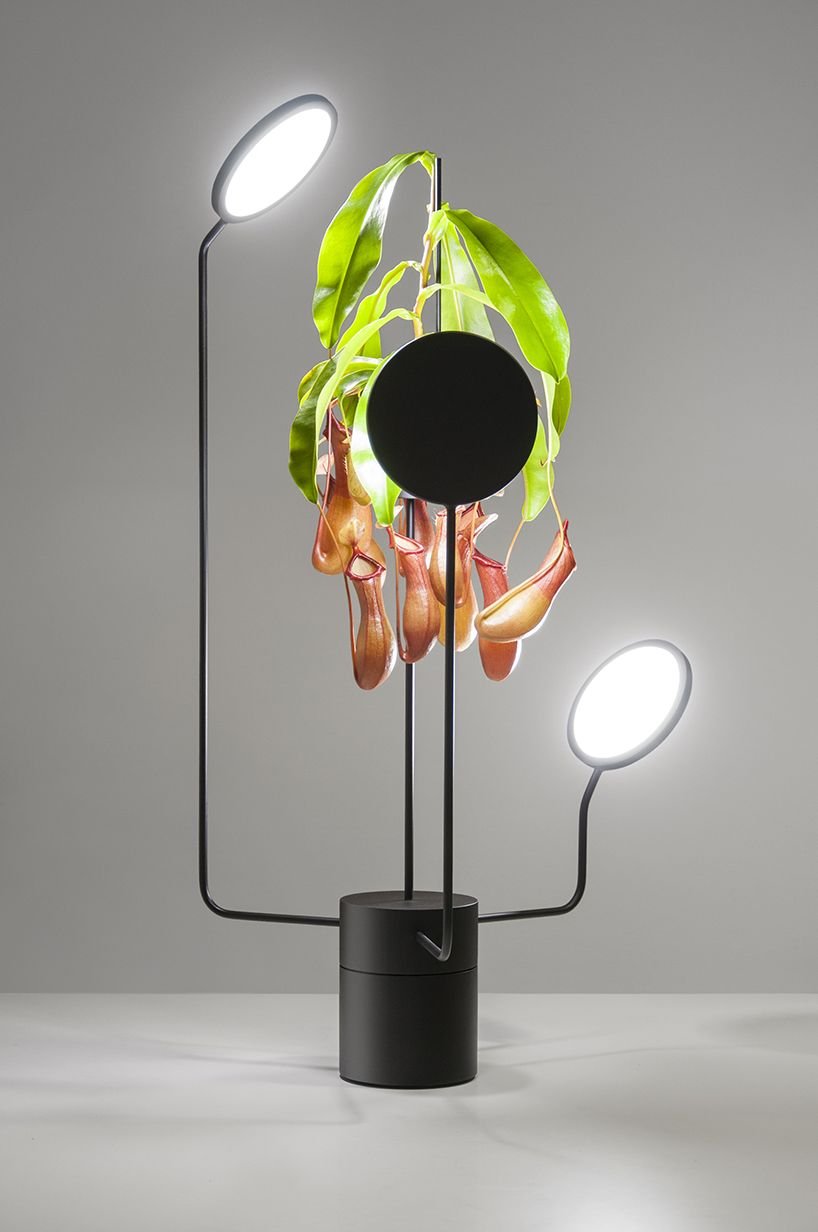 Напольный светильник для растений