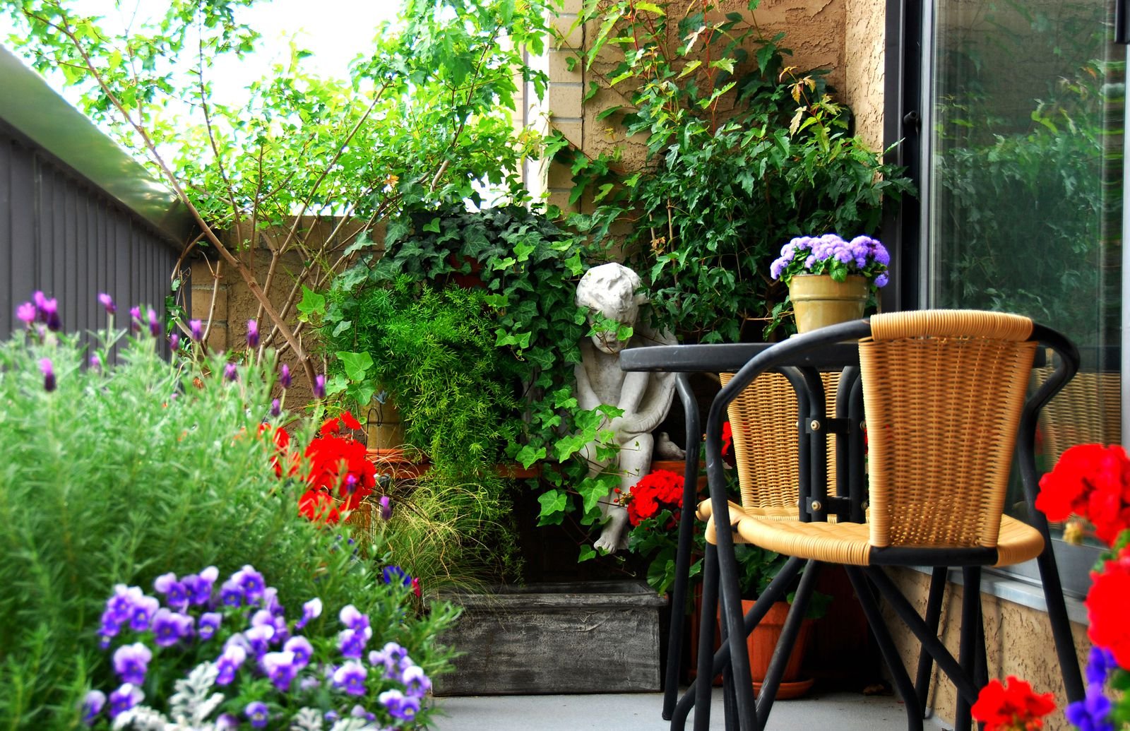 Balcony gardening. Озеленение балконов и лоджий. Цветы на балконе. Цветы на веранде. Растения для террасы.
