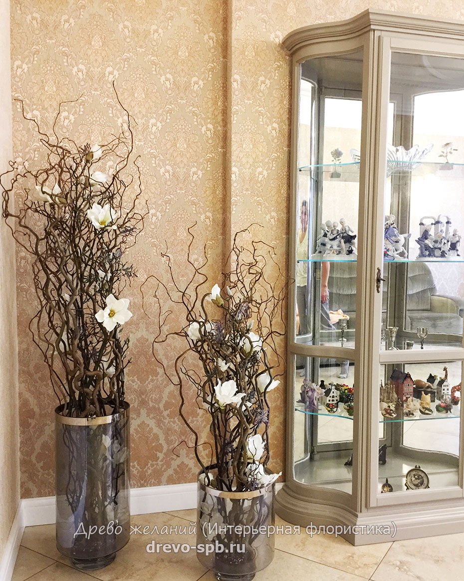 Фикус лирата