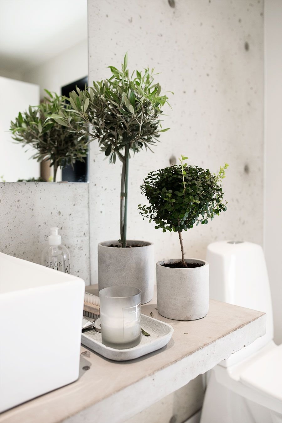 Декоративные растения в ванной
