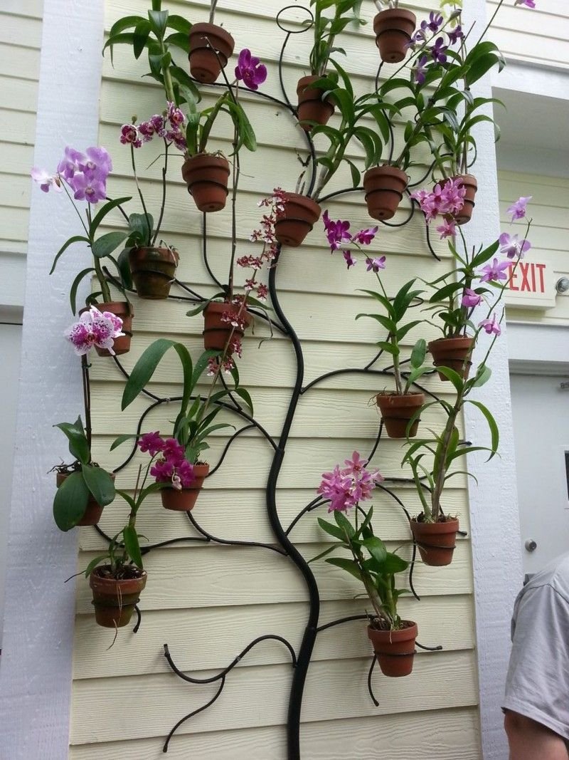 Полки для орхидей на стену