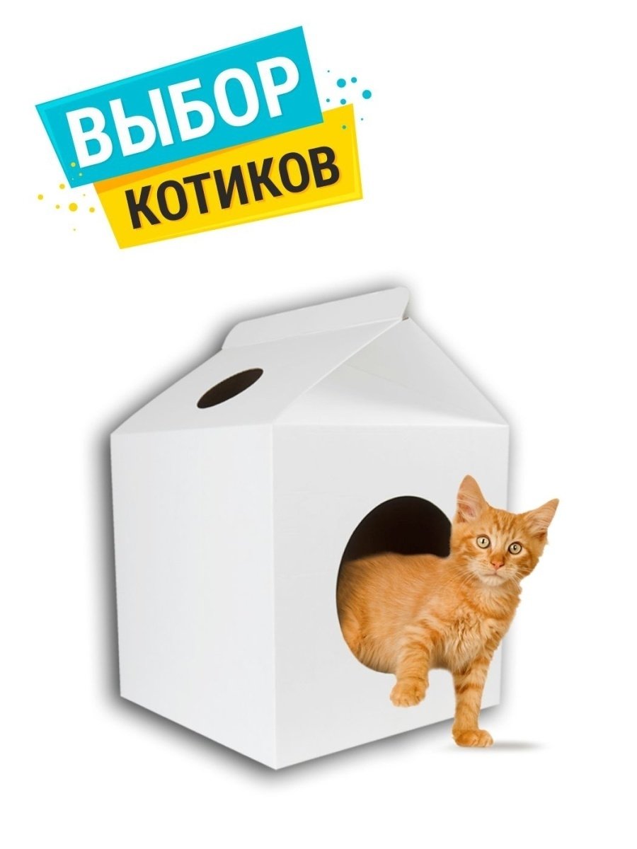 Кошачий домик из коробок