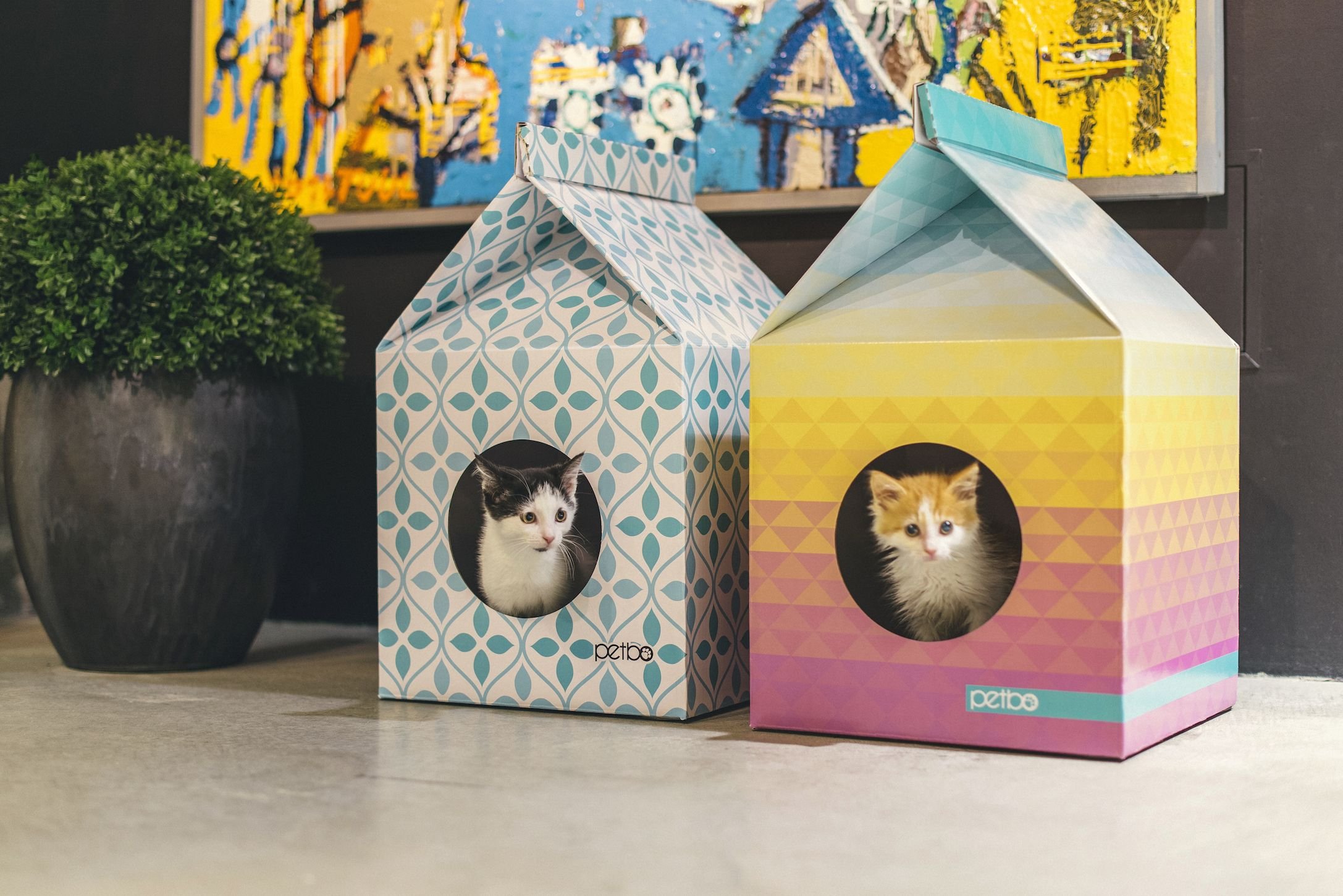 Сделать домик для кошек из коробок. Домик для котов из коробки. Домик для кошки из картонной коробки. Домик для кошки из коробок. Домик для котёнка из коробки.