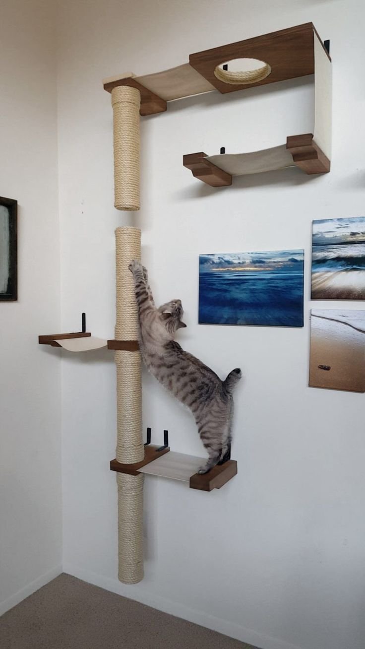 Полки для кошек на стену
