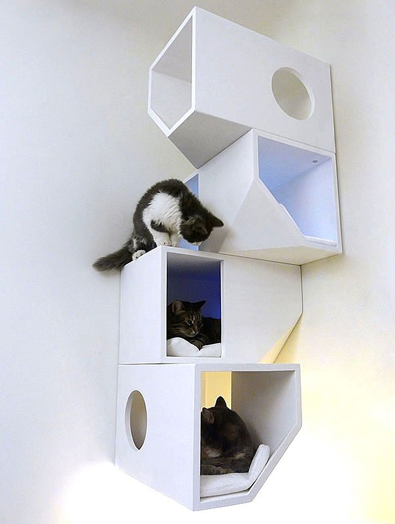 Настенный комплекс для кошек