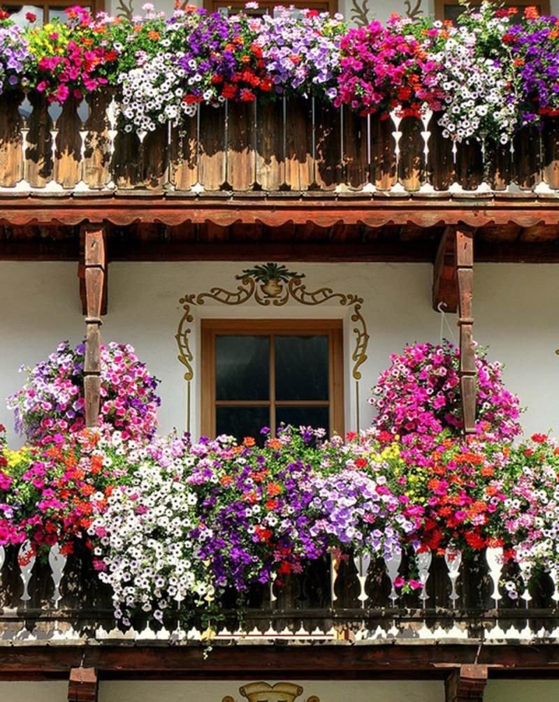 Цветы на балконе снаружи