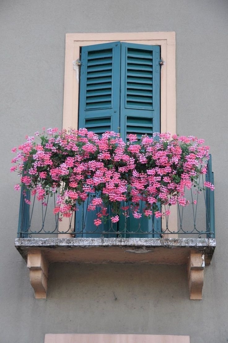 Ажурный балкон с цветами
