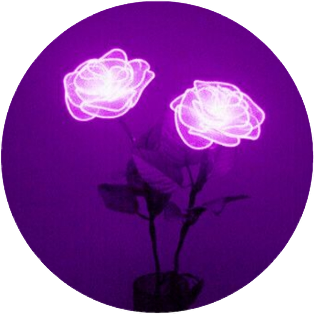 Фиолетовый предметы для эстетики. Фиолетовые аватарки. Светящиеся цветы. Фиолетовые вещи для эстетики.