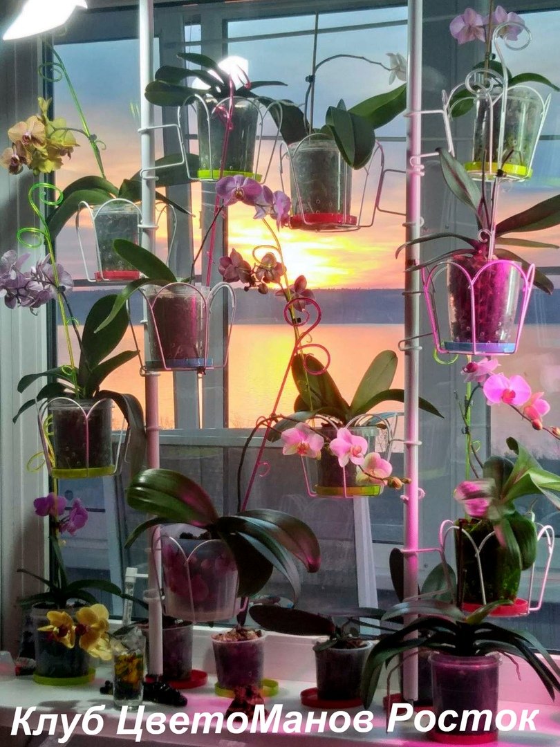 Подставка для орхидей на подоконник
