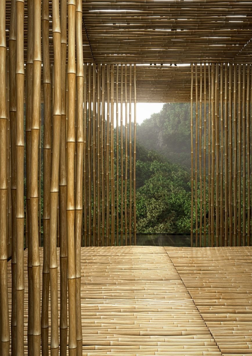 Интерьер кухни с бамбуком в интерьере