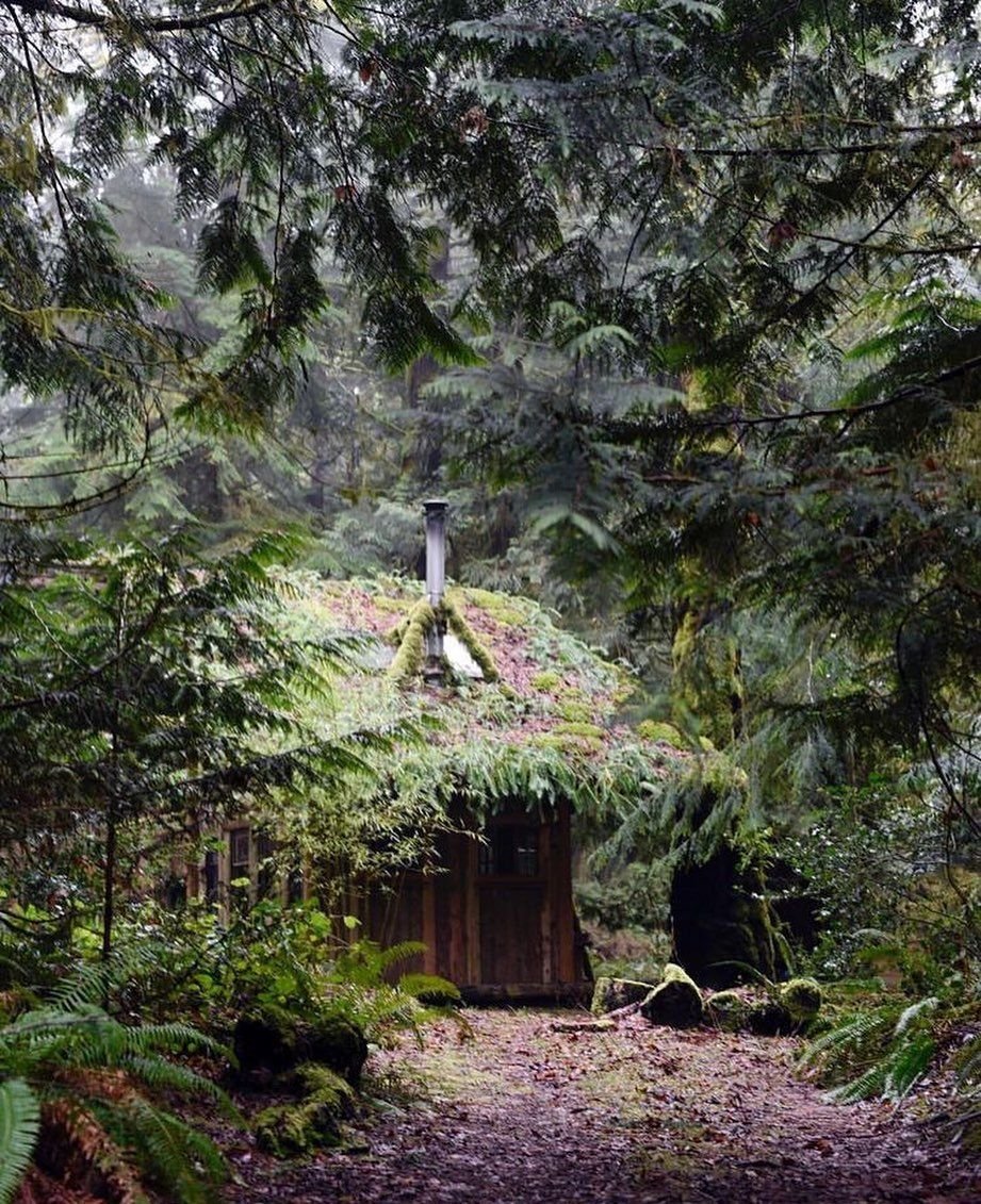 Домик ведьмы в лесу