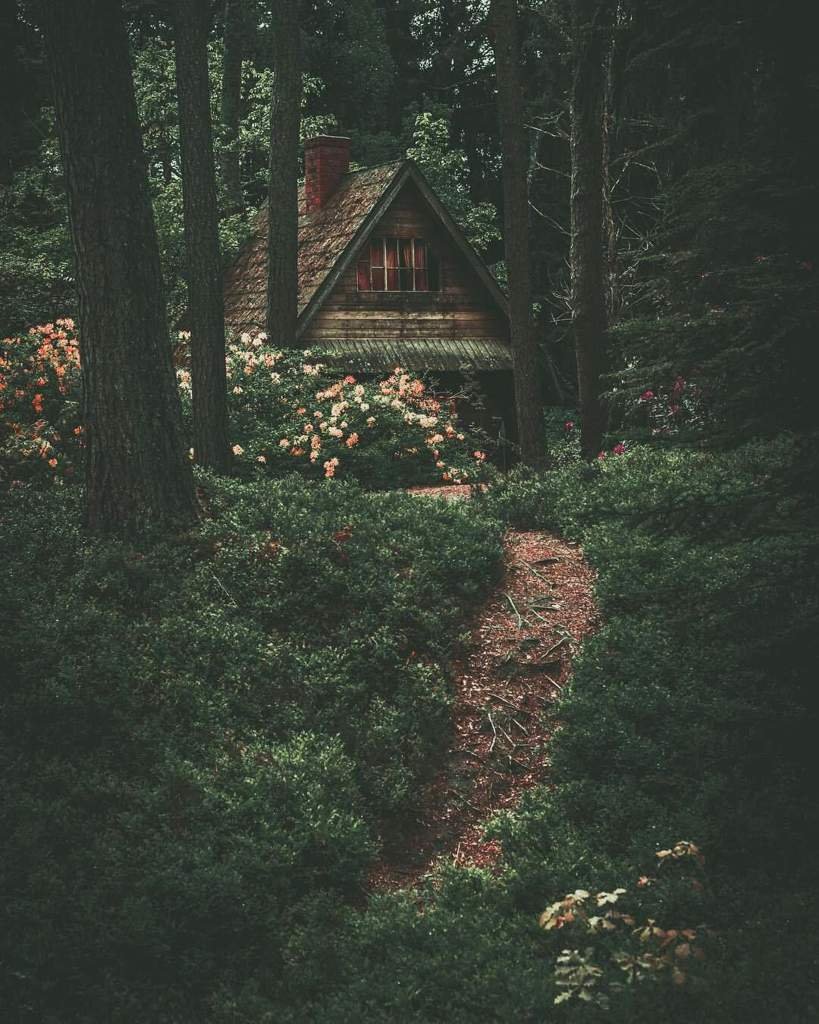Лесной домик ведьмочки