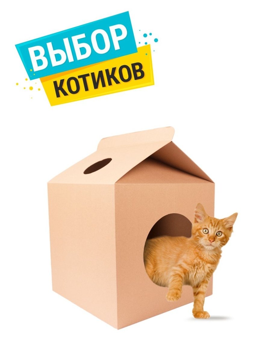 Домик для кошки из коробки телевизора самсунг