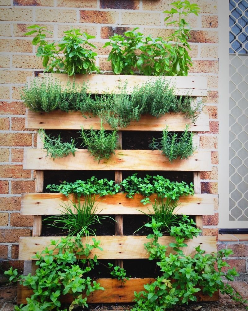 Вертикальные сады для зелени