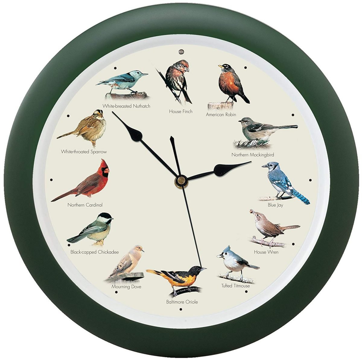 Часы пение птиц. Часы "птицы". Часы настенные "птица". Птичьи часы. Часы с птичками настенные.