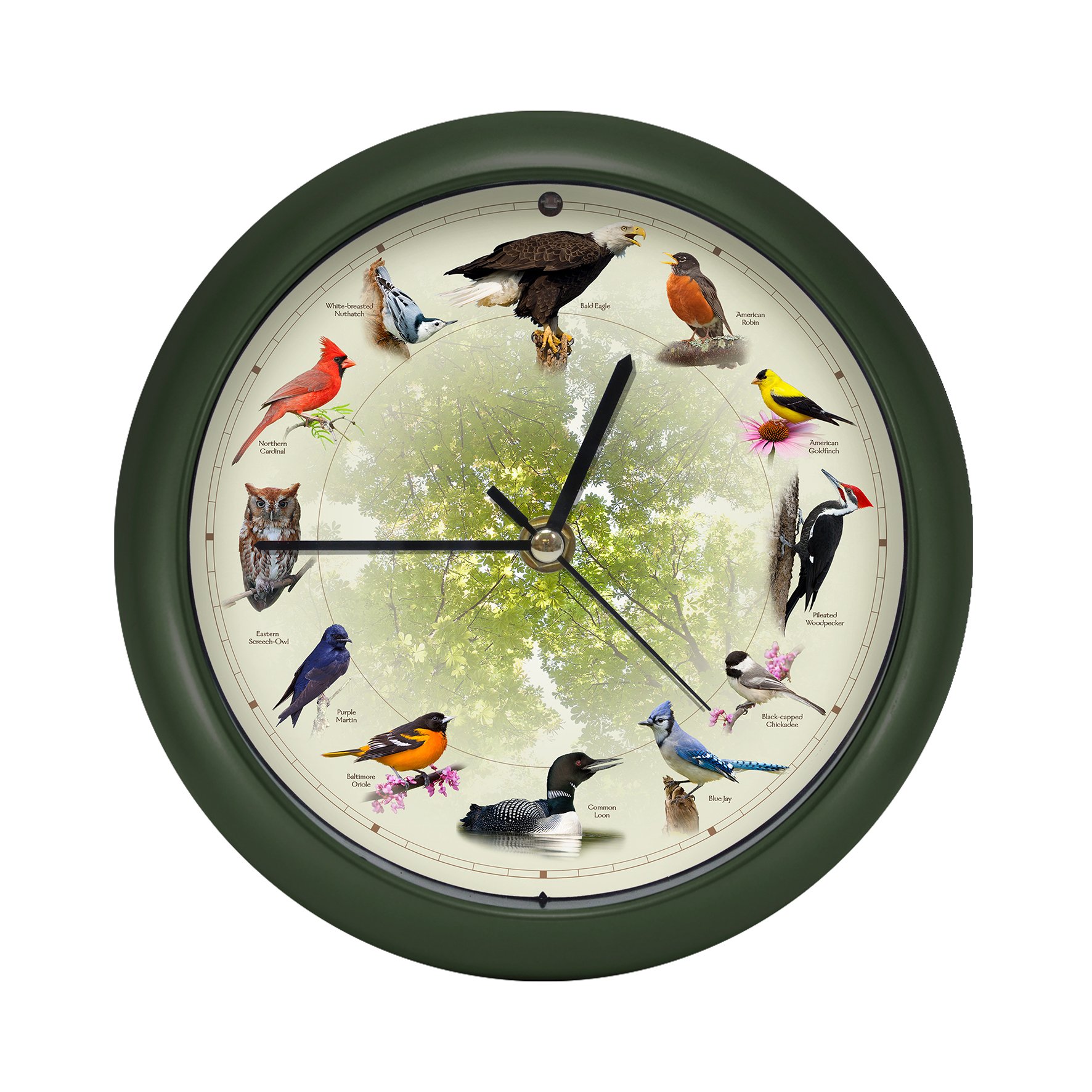 Часы пение птиц. Часы с птичками. Часы с птичками настенные. Часы настенные "птица". Часы с пением птиц настенные.