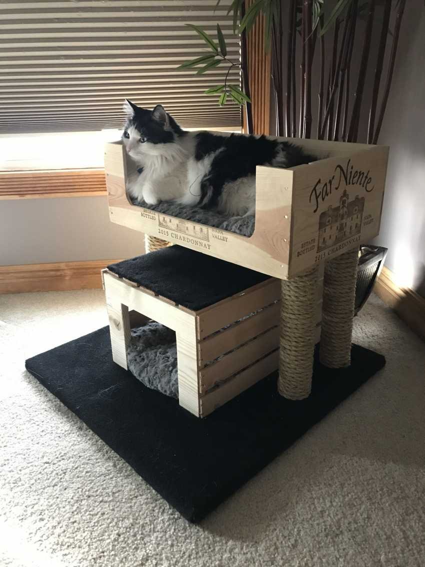 Meyou домик для котов