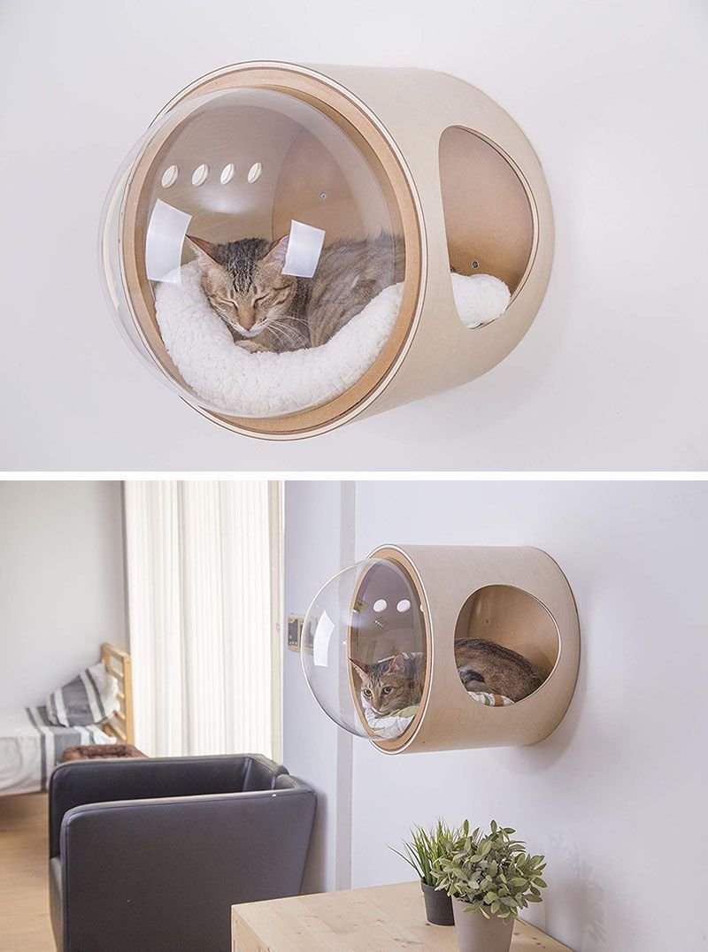 Прозрачный домик для кота