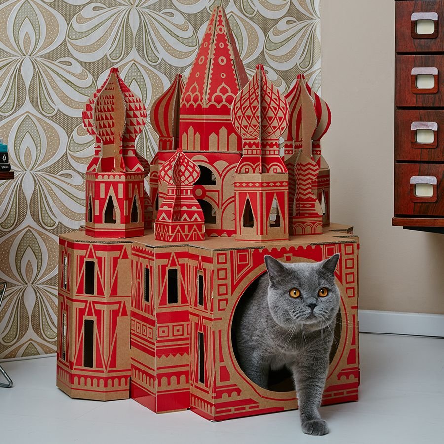 Нарисованный домик для кота
