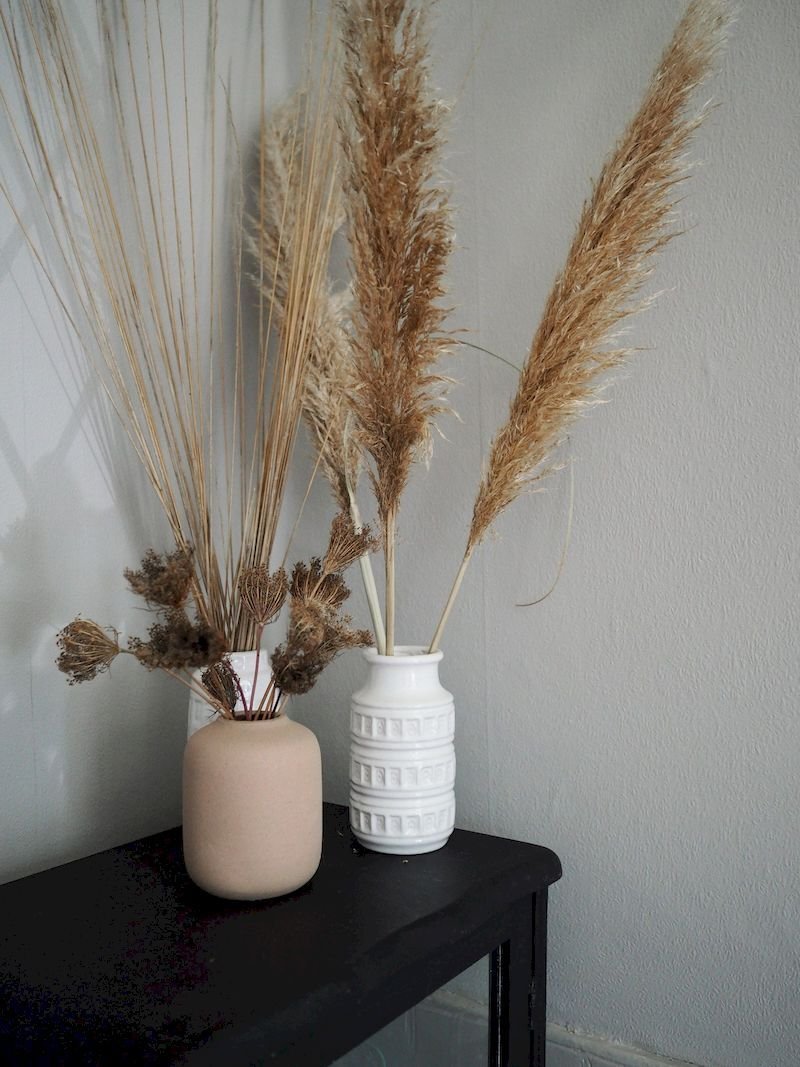 Кортадерия пампасная трава в вазе