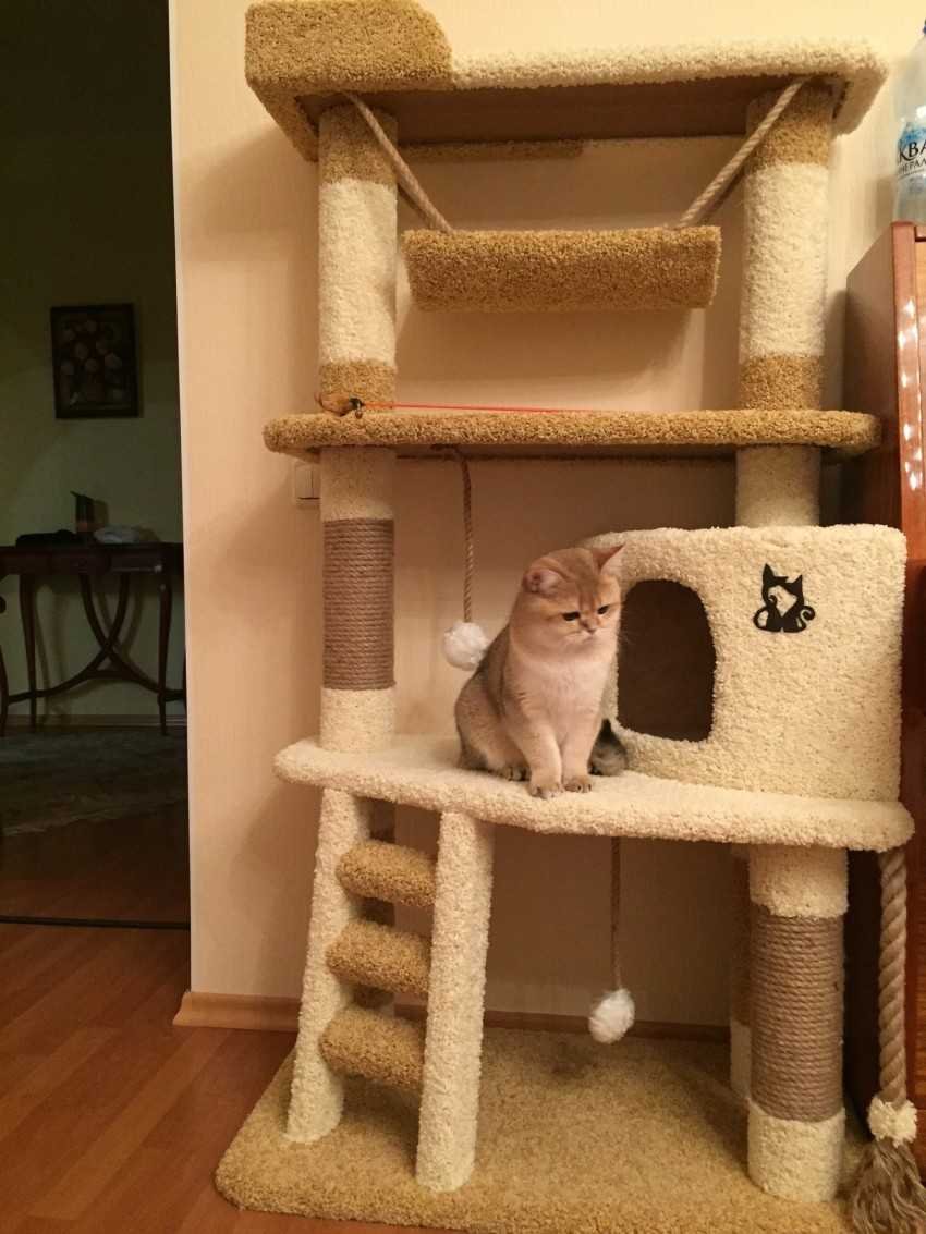 Кошкин домик когтеточка