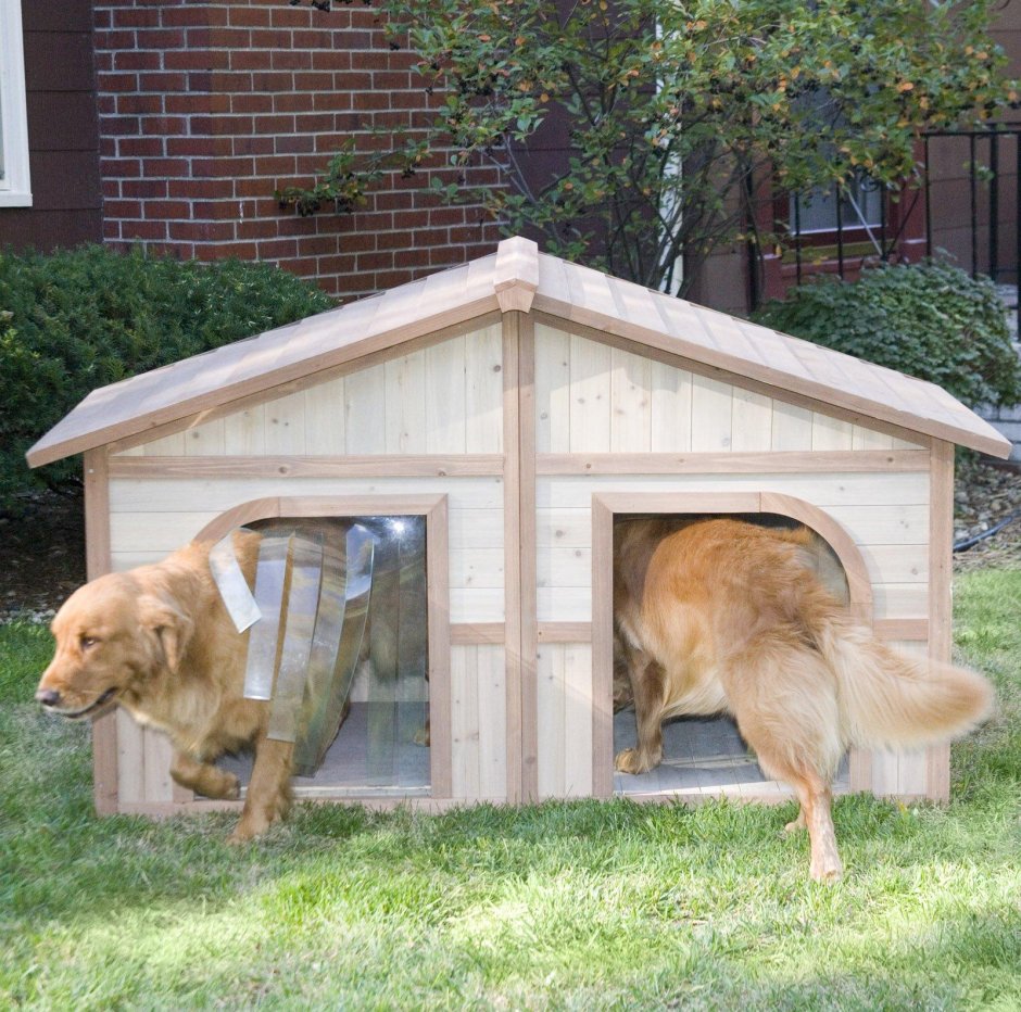 Двухкомнатная будка для собаки