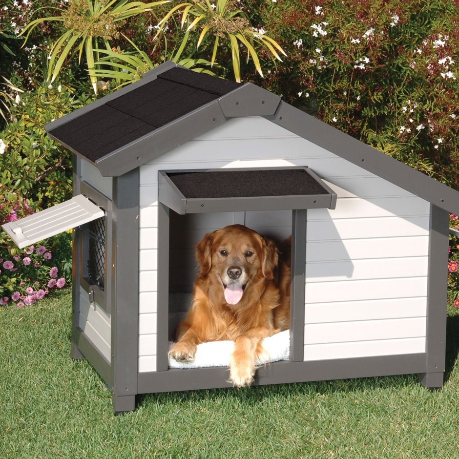 Шикарный домик для собак
