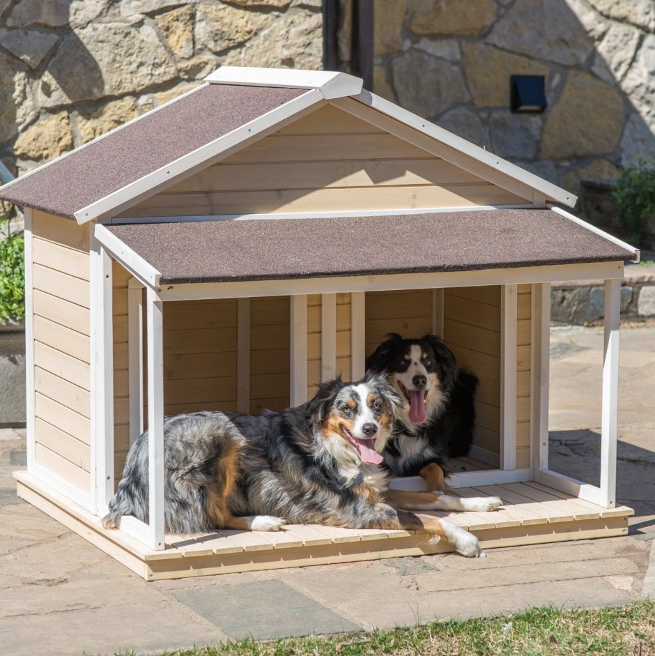 Дом для собаки