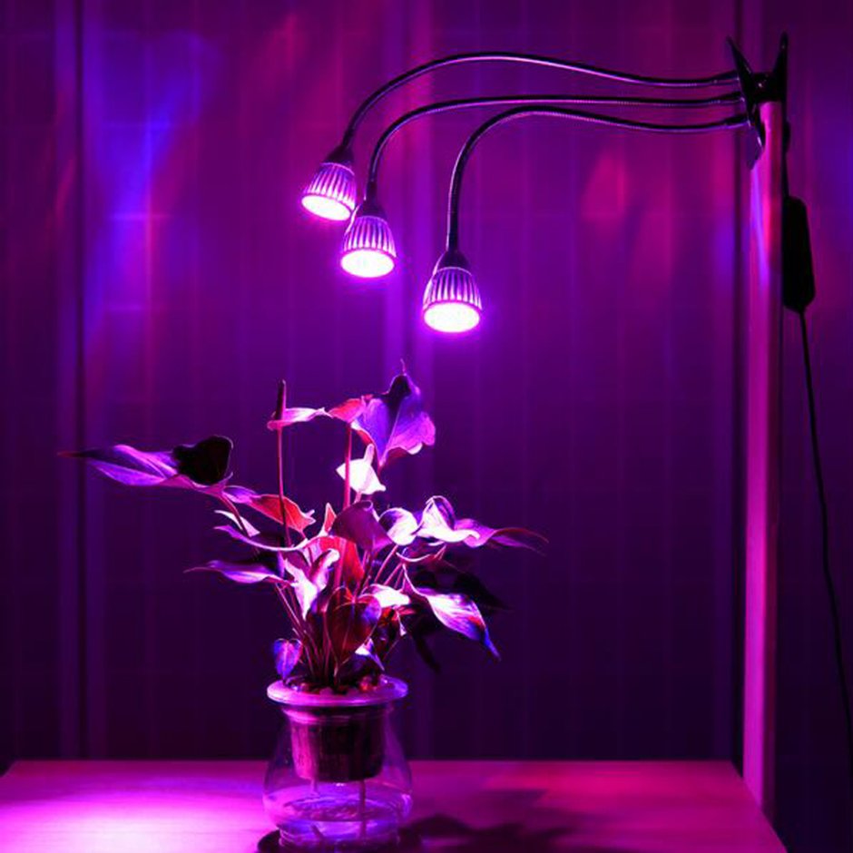 Фитолампа Plant Light