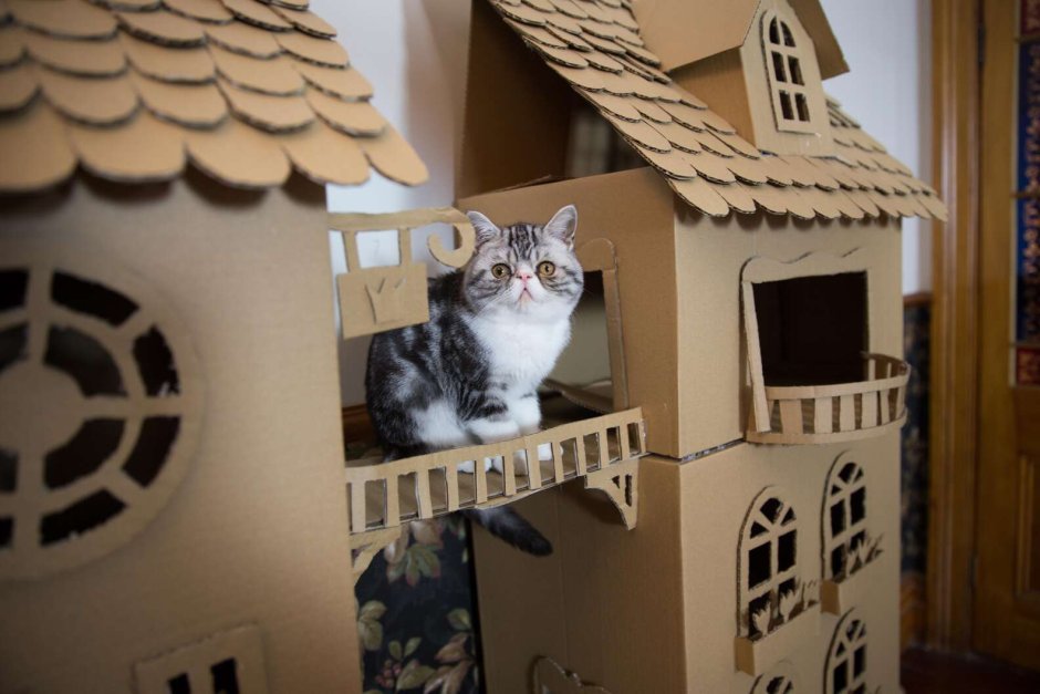 Кошкин дом из картона