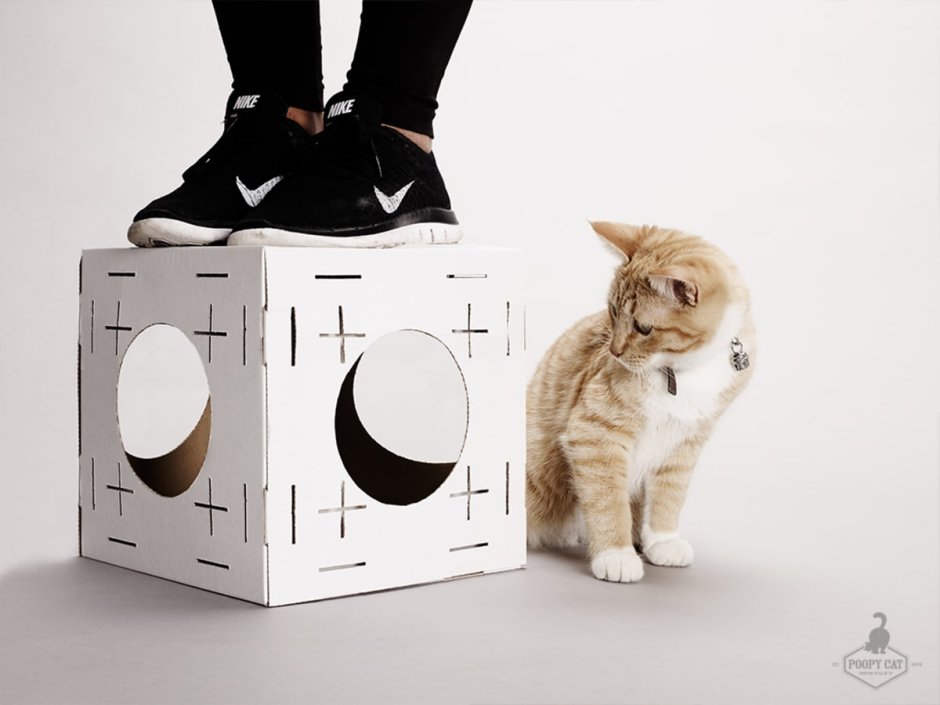 Коробка картонная для кота