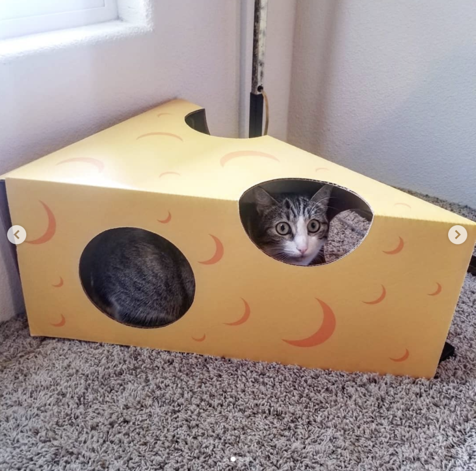 Игровой домик для кошки из коробки