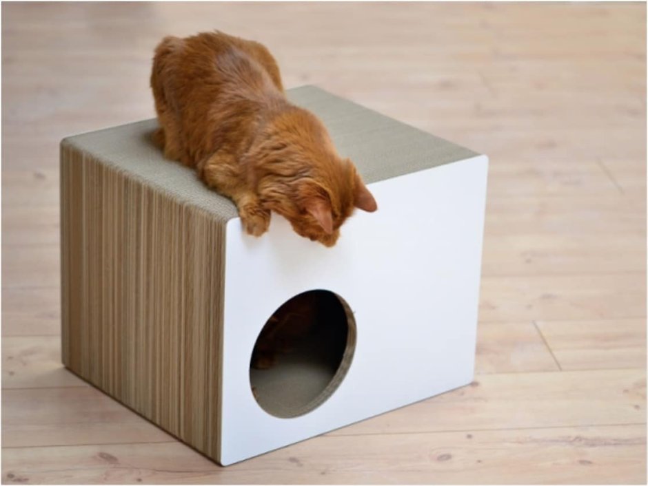 Домик для кошки для родов из коробки