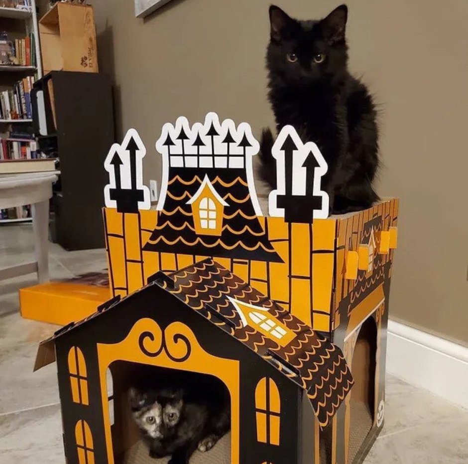 Башенка для кошек из коробки