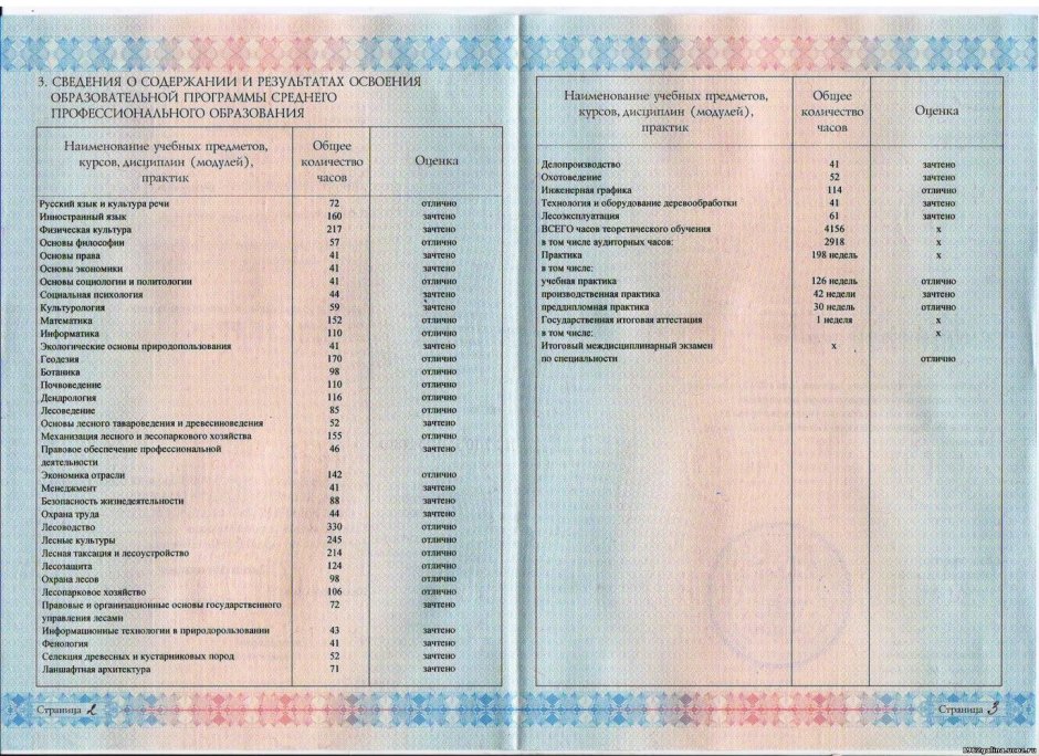 Екатерина в Екатерининском Дворце