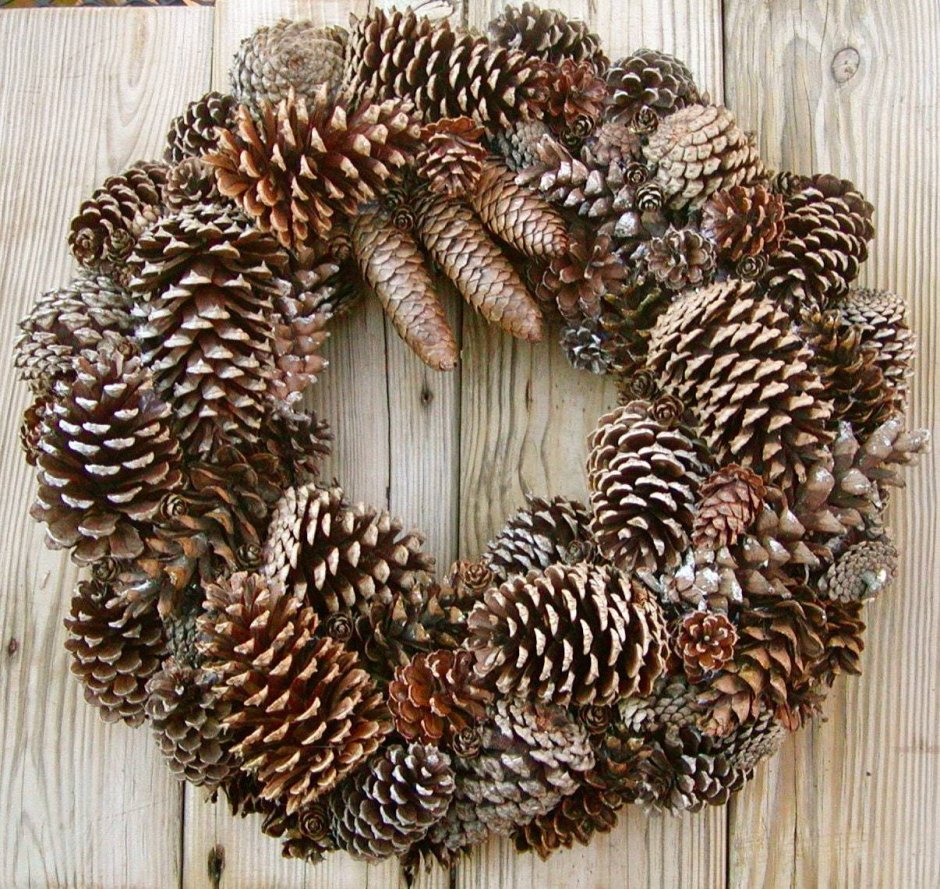 ШРП из шишек