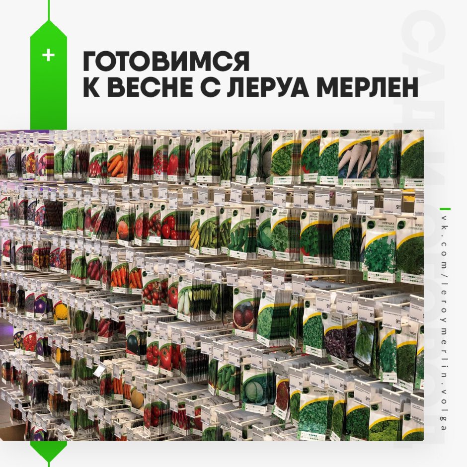 Обои из Леруа Мерлен в интерьере