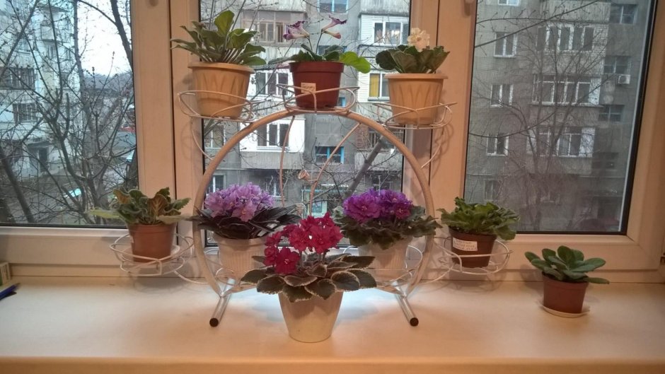 Подвесные полки для цветов на окно
