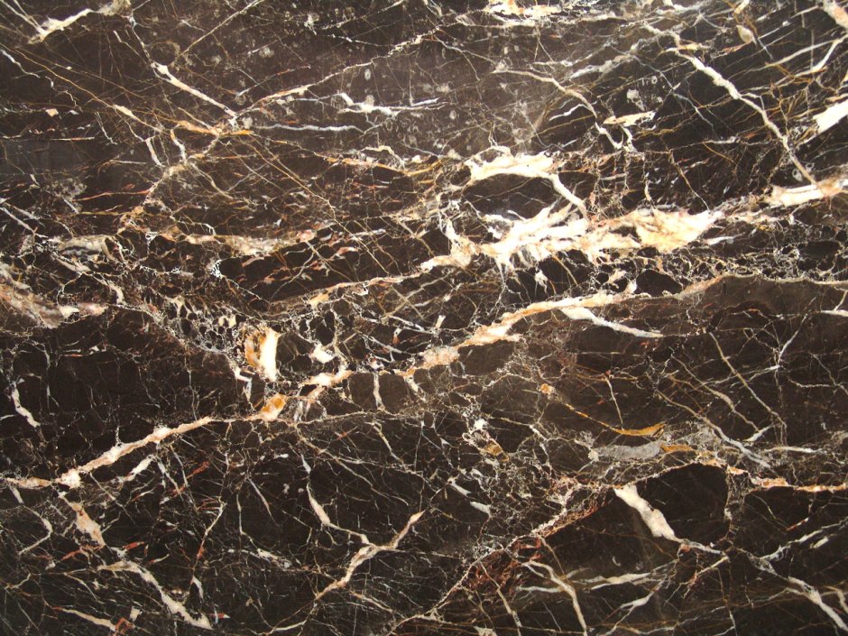 Marquina Gold 60 x 120 Cerrad