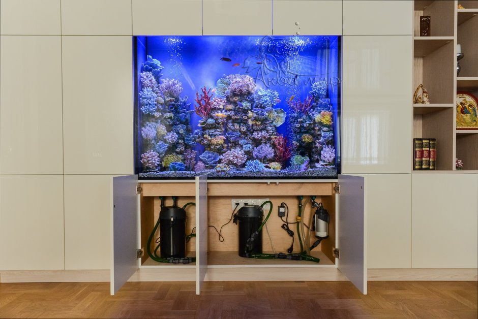 Большие аквариумы в стене