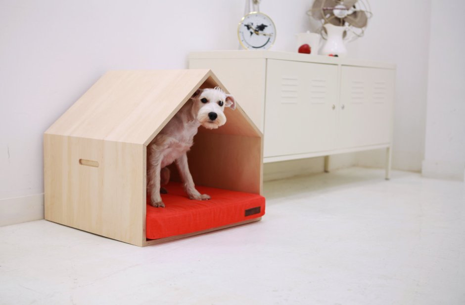 Мебель для собак