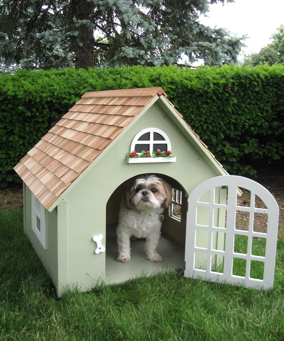 Двухэтажный дом для собаки